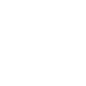 scanfabrik-logo